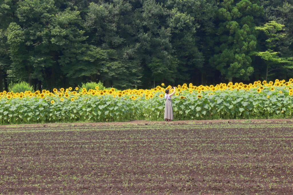 那須コテージ四季ｃ棟/屋根付きバーベキュースペース完備/まるまま一棟貸し Villa Nasushiobara Bagian luar foto